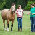Girl Training with Horse at Stable Days in Grand Forks North Dakota