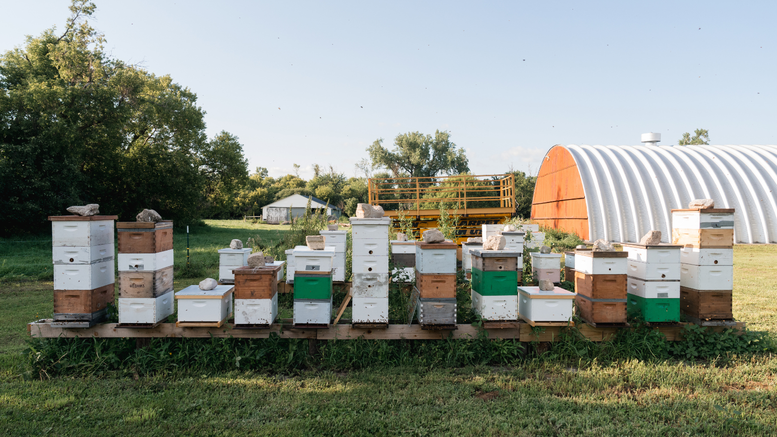PastureND photo of their bee hives