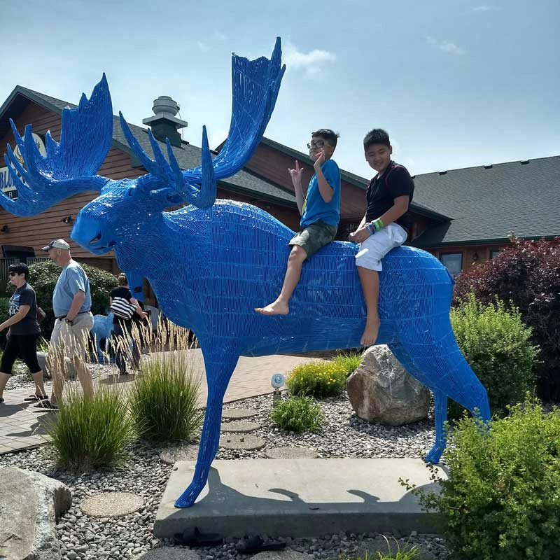 The Blue Moose in East grand forks