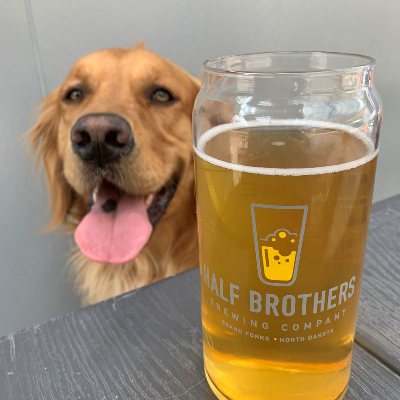 A dog sticking his posing next a glass of Half Brothers Beer in Grand Forks