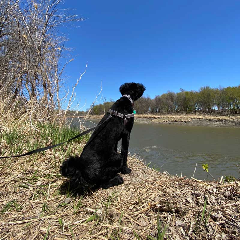 Pembina Gorge trail