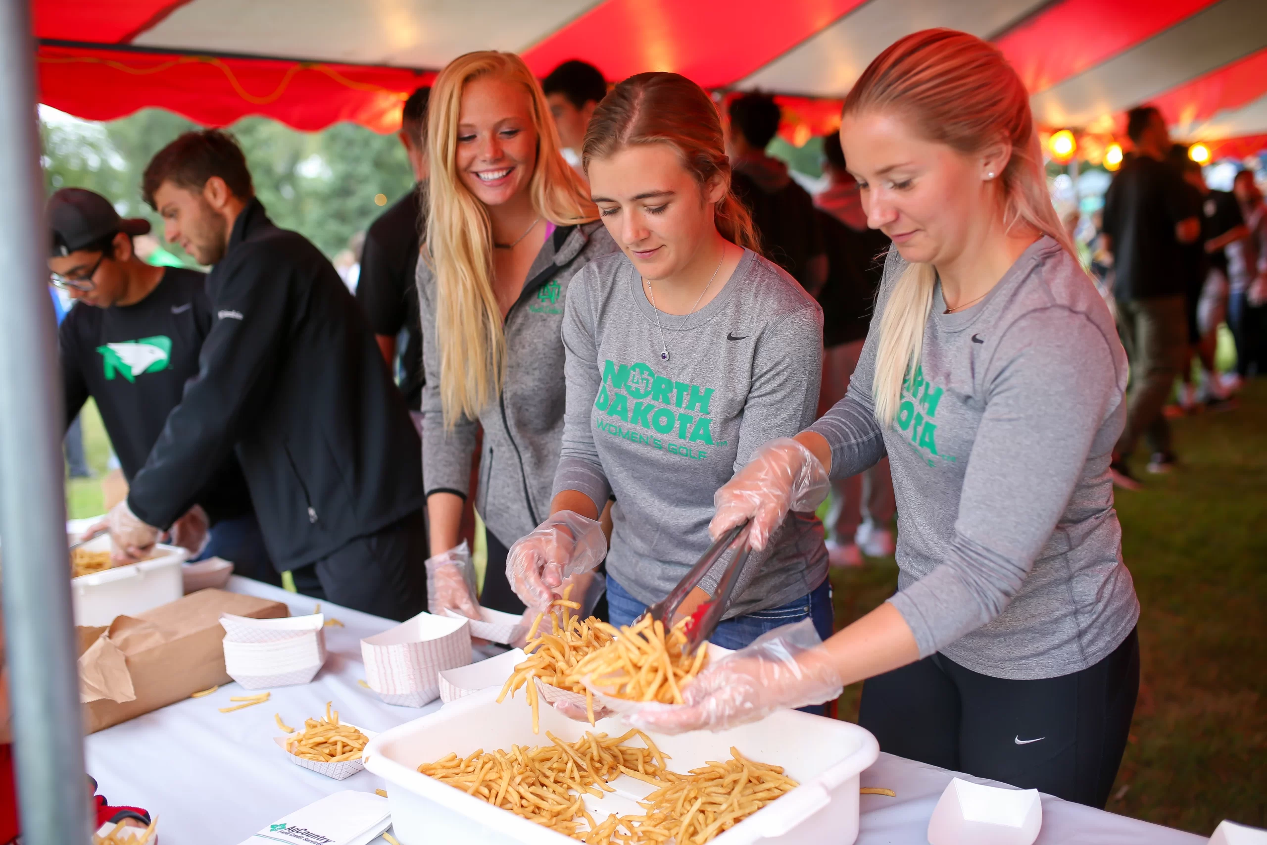 Potato Bowl French Fry Feed in Grand Forks.