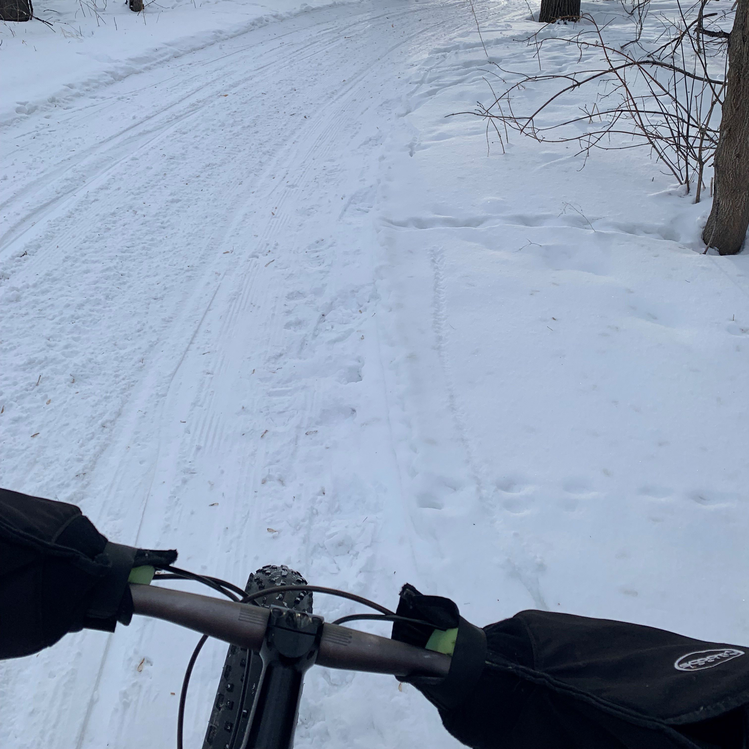 Biking on Grand Forks Greenway on snowy day