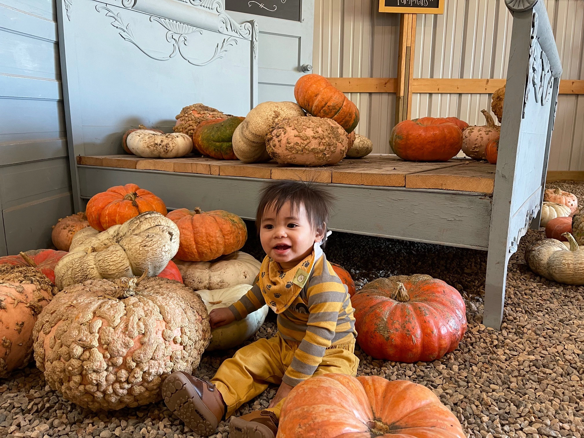 Baby in a pumpkin patch in Fall in Grand Forks