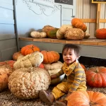 Baby in a pumpkin patch in Fall in Grand Forks