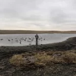 Duck hunting in Grand Forks at dusk.