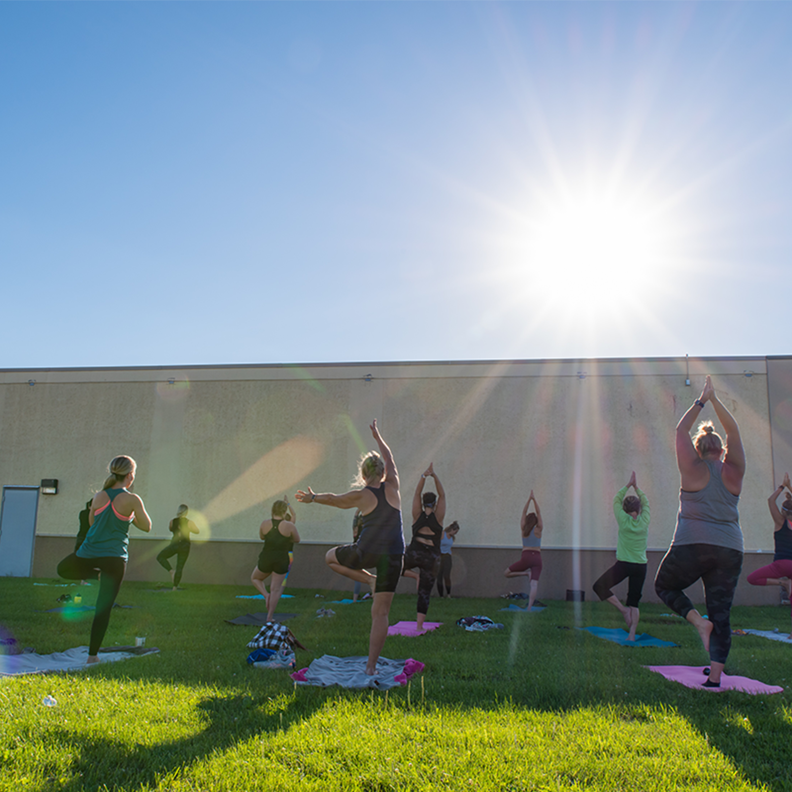 A group of people participating in an outdoor yoga session.
