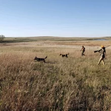 Hunting in Grand Forks in the daytime.