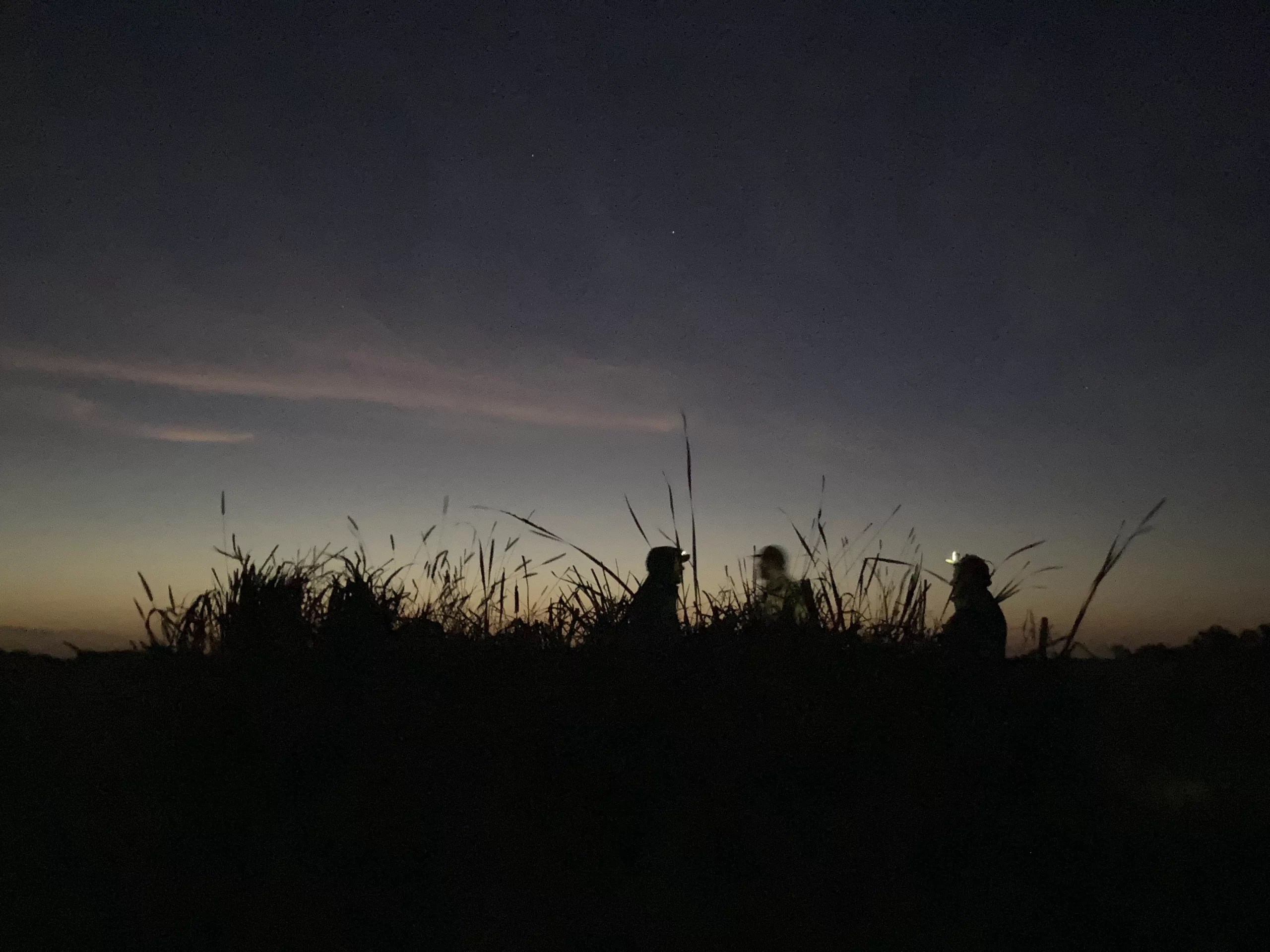 Sunrise hunting in the blind in Grand Forks.