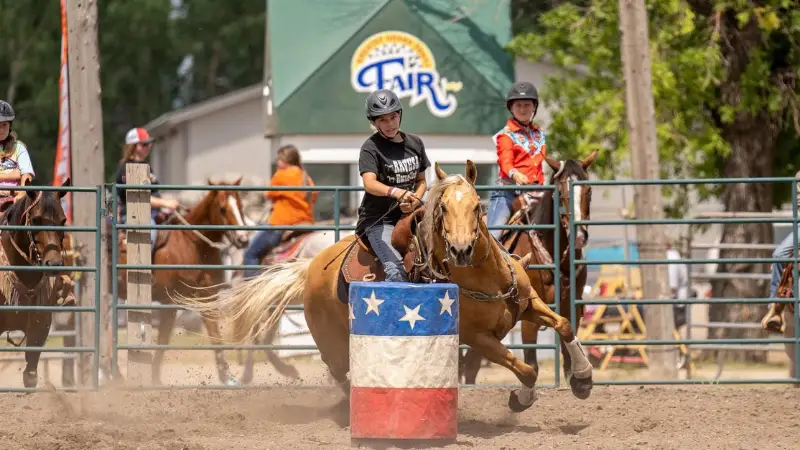 Grand Forks County Fair hosts barrel racing around American flag stripped barrel. Girl ridding a horse in the arena.