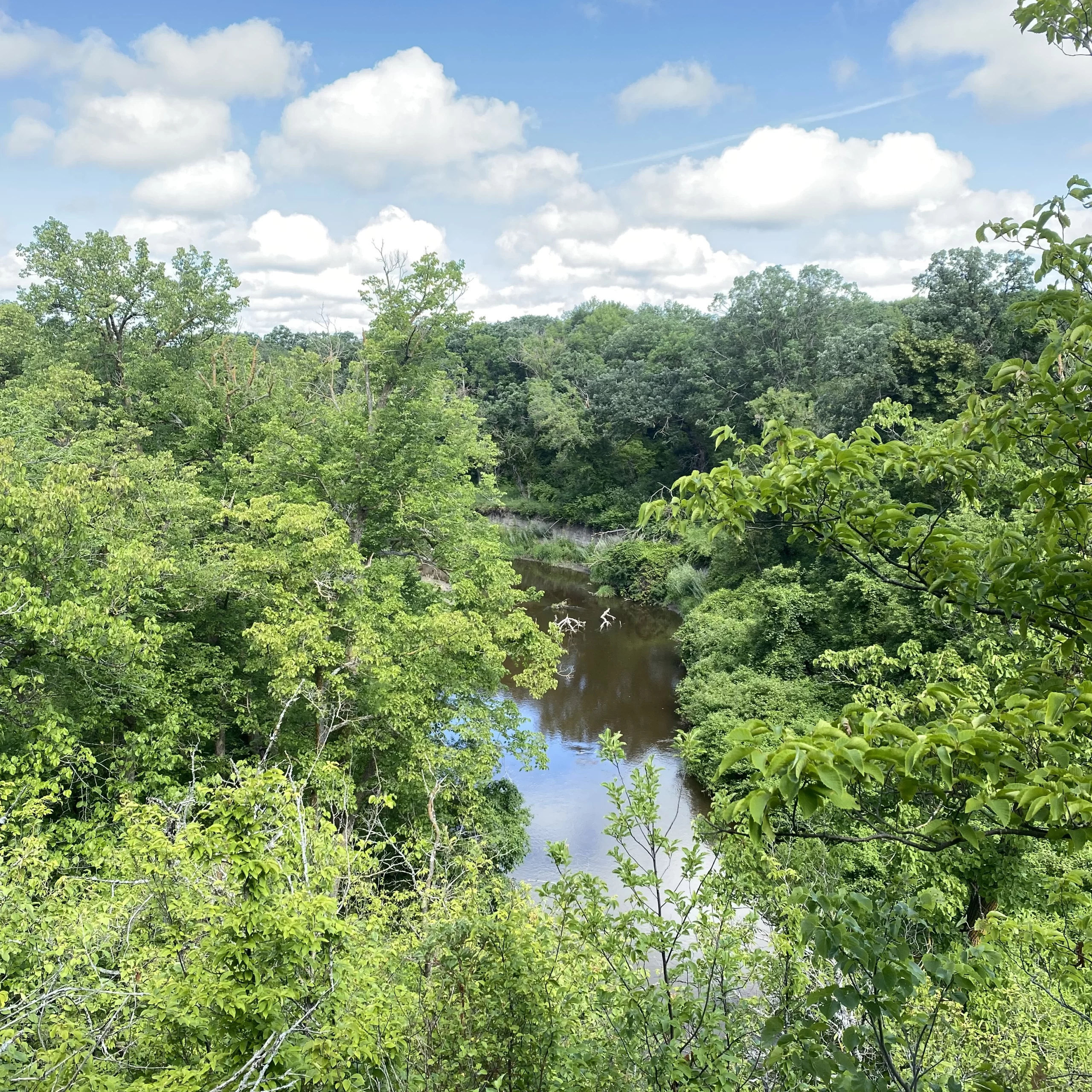 Scenic view of Turtle River State Park