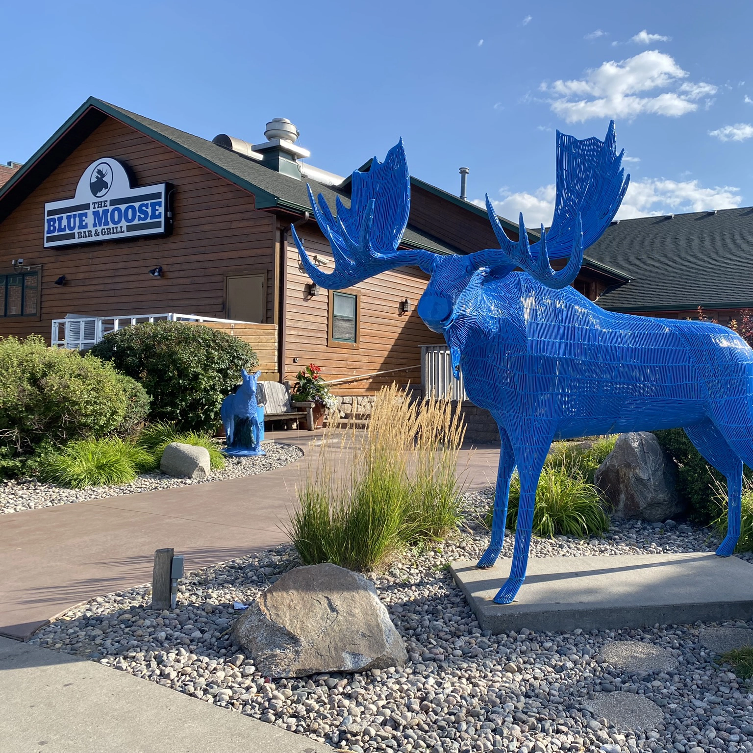 Blue Moose in East Grand Forks