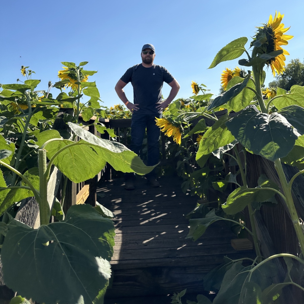 What's Cooler Today writer Jasmine's husband stands proudly with his hands on his hips in a field of sunflowers