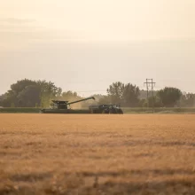 Harvest in Grand Forks