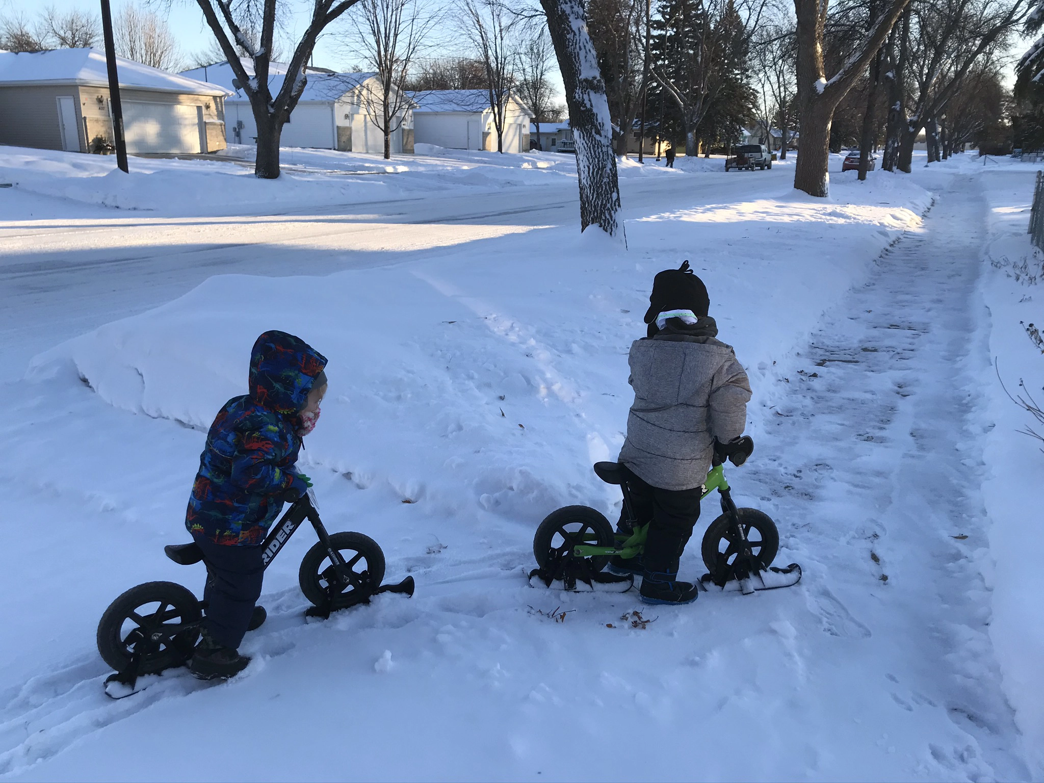 Avery and Jude on their balance bikes with skis