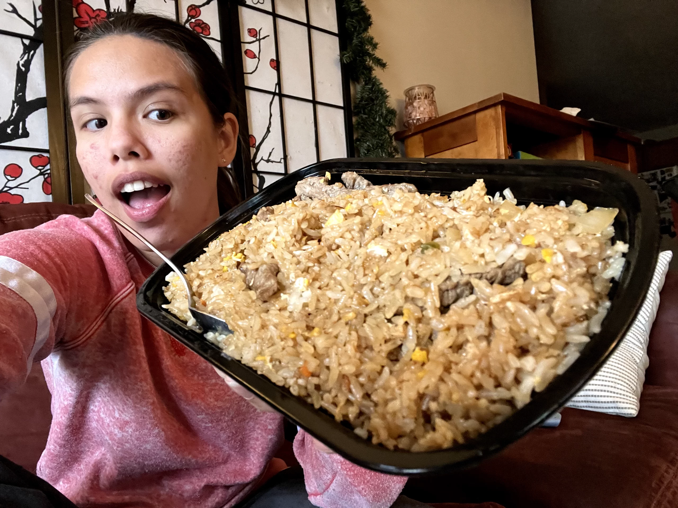 Gon with fried rice in Grand Forks