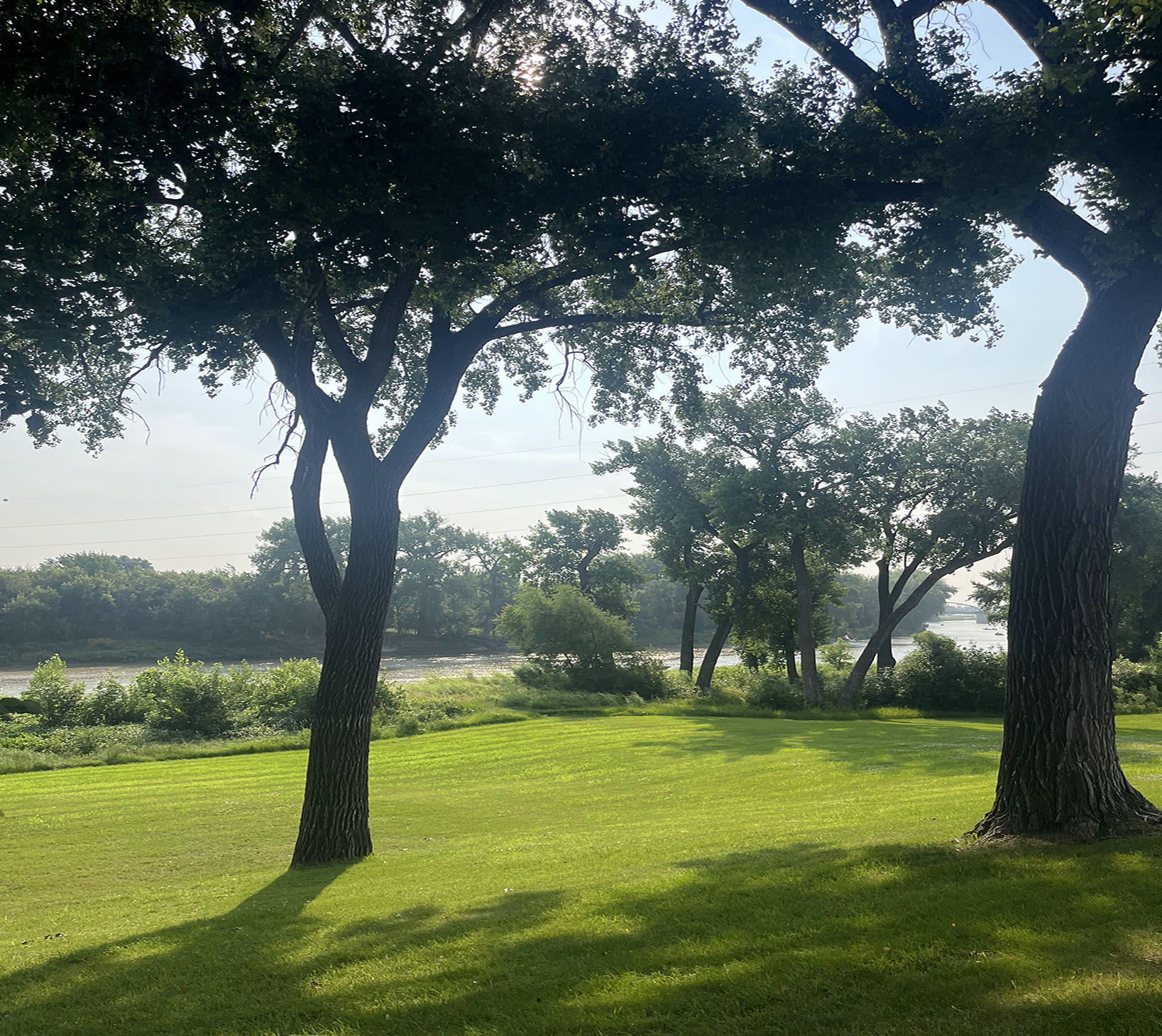 This image is of the trees and greenery overlooking the Red River in summertime.