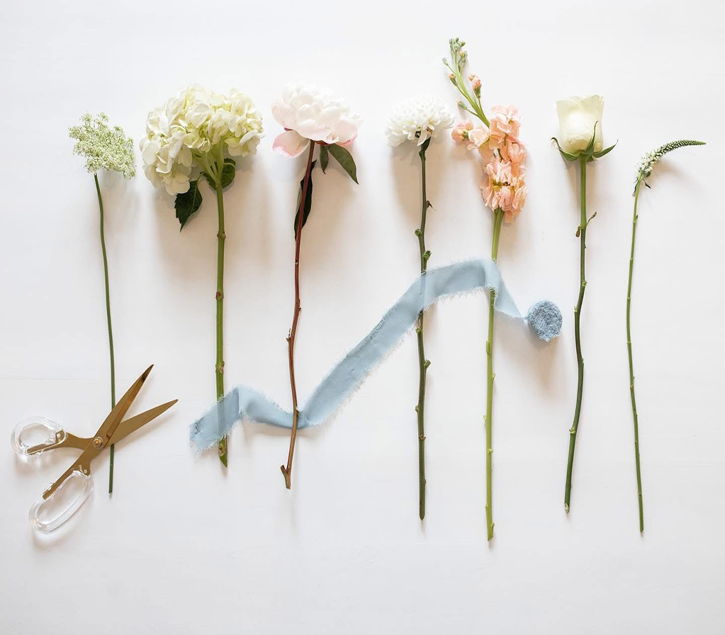 Klaudia Flowers Photo Pictured is a lineup of stemmed flowers almost like a flat lay style photo. There is a scissors laying next to them with a stoney blue ribbon across the front of the flowers as well.