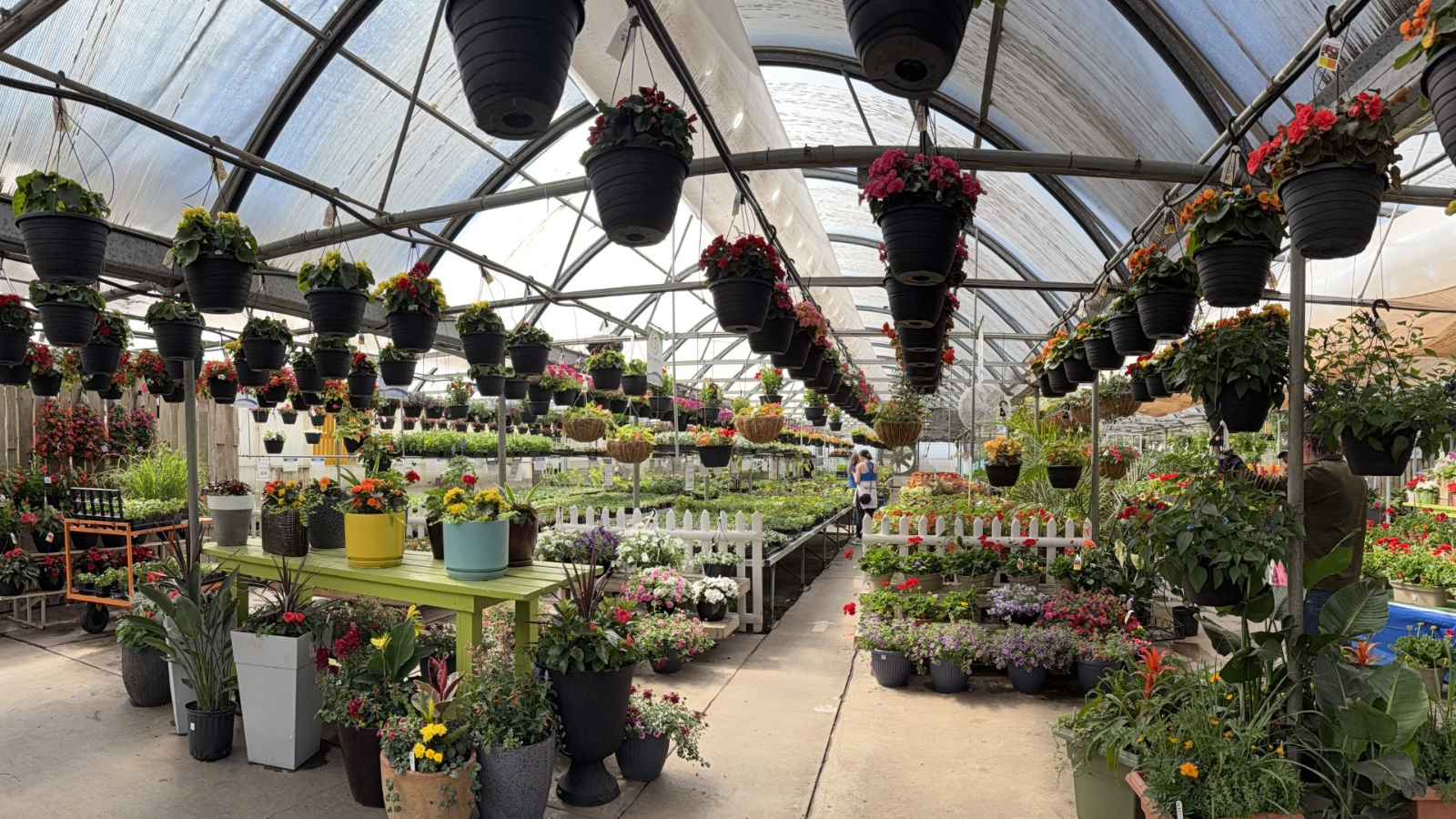 All Seasons Greenhouse Photo All Seasons greenhouse photo wide span. Many hanging plants around and the space is filled to the brim with potted flowers galore!