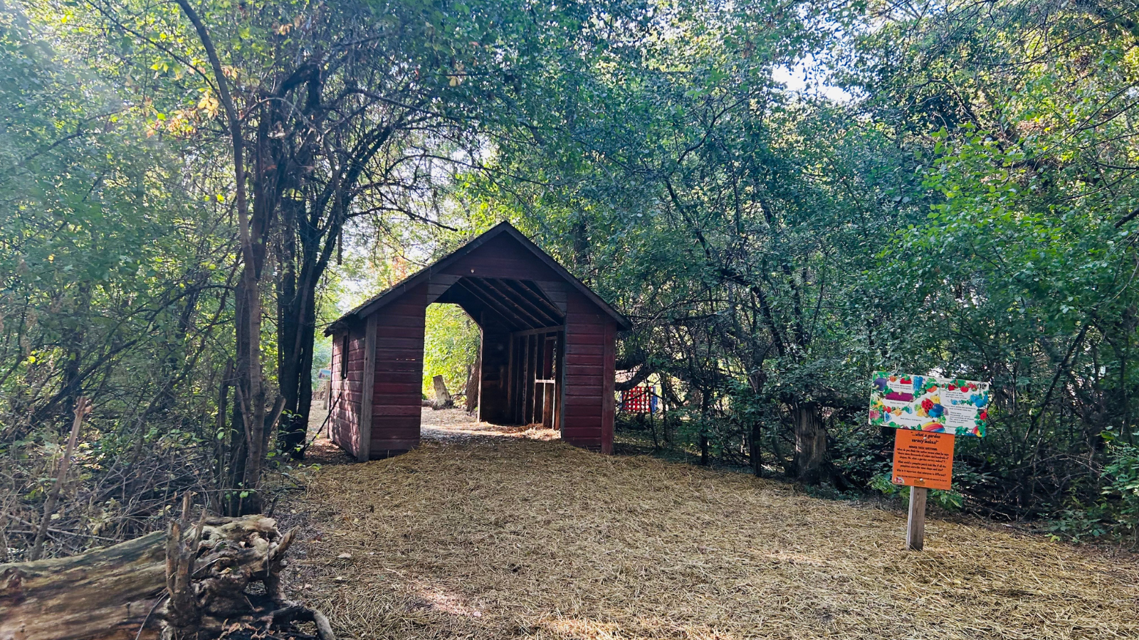 Walking path out at the pumpkin patch.