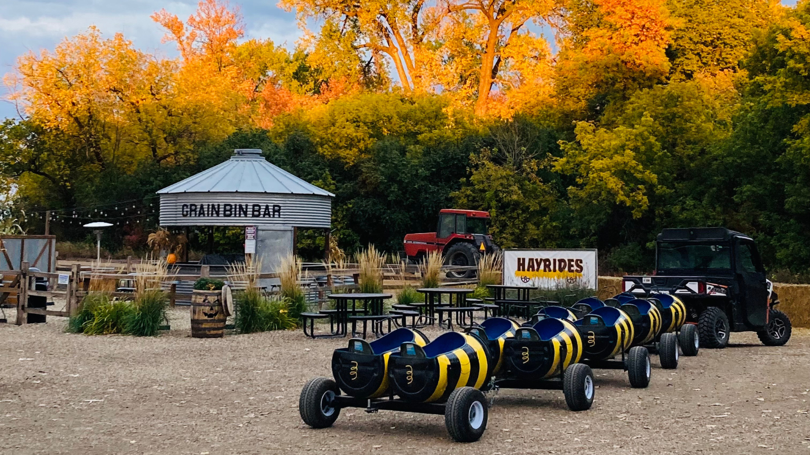 Nelson's Pumpkin Patch bee train photo with the Grain Bin Bar in the background as the sun sets over the venue