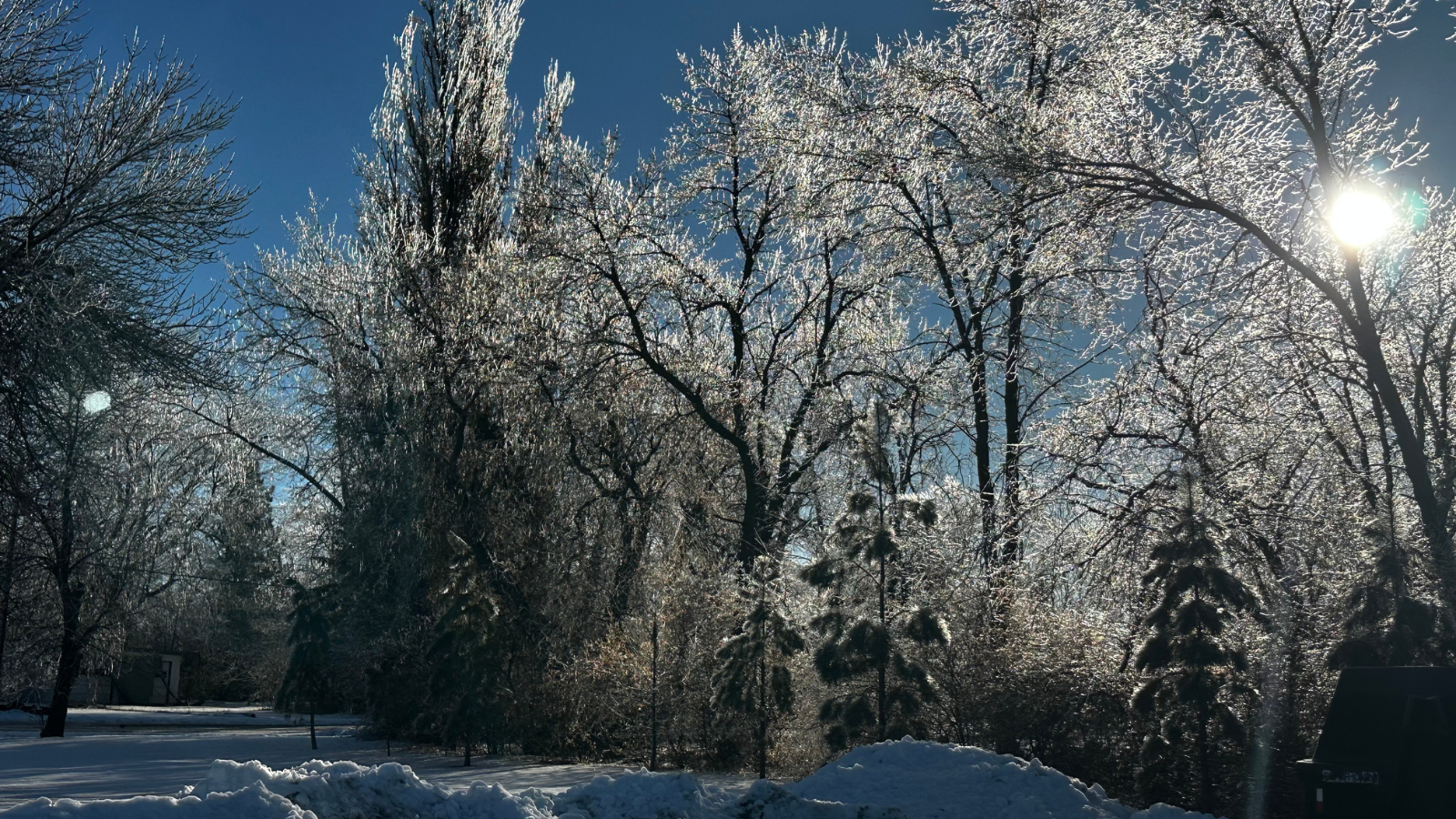 A frozen icicle photo with ice covering the ground and all the tree's branches. The sun is peaking through.