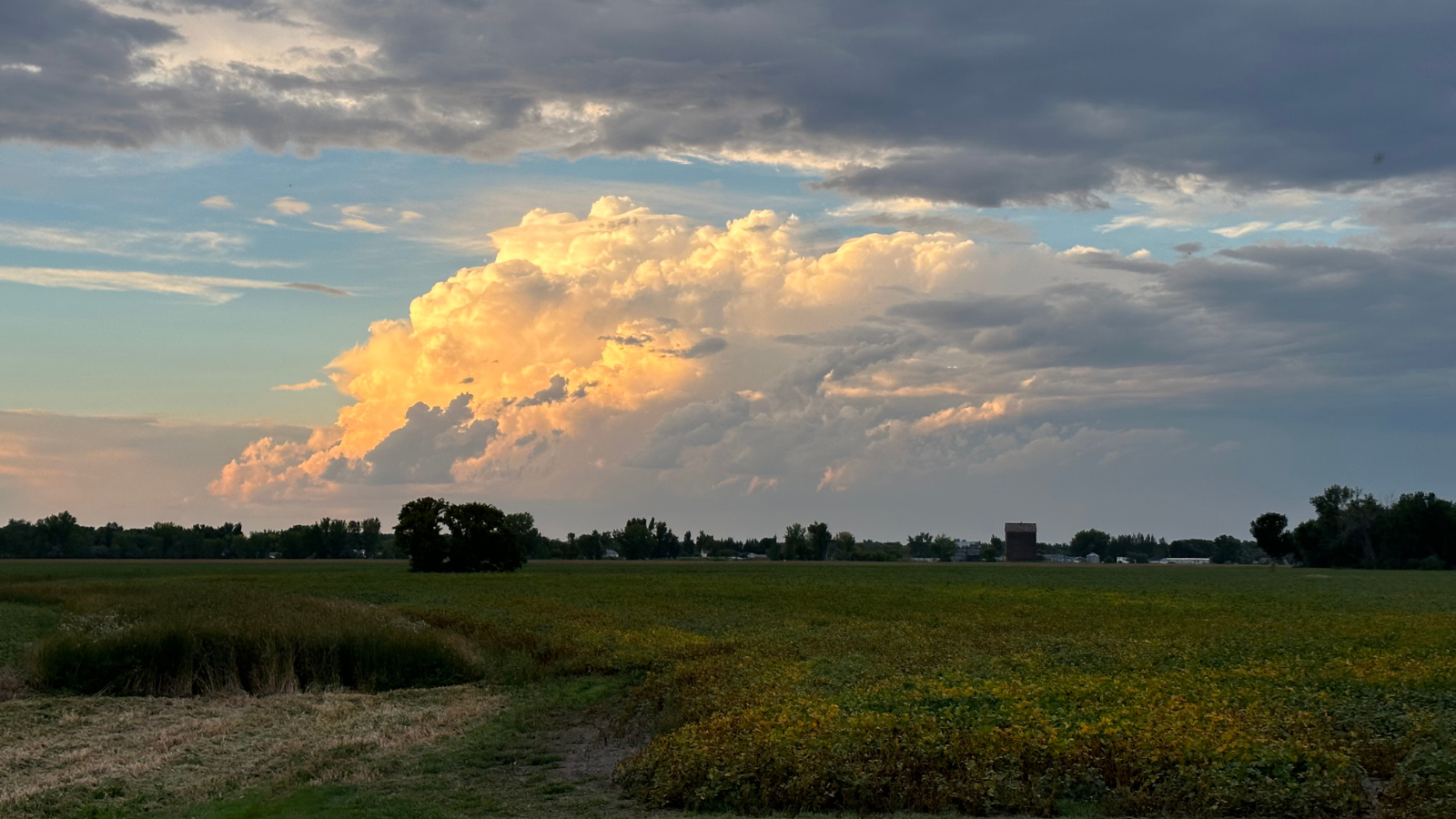 An early sunset photo over a field outside Grand Forks with the clouds rolling in. The sunset is bouncing off the clouds.