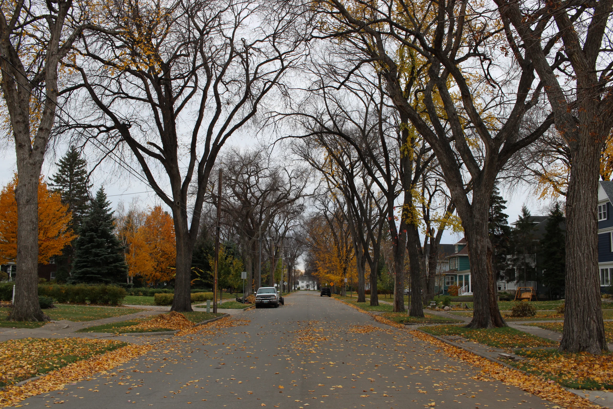 Southside Neighborhood Fall Photo