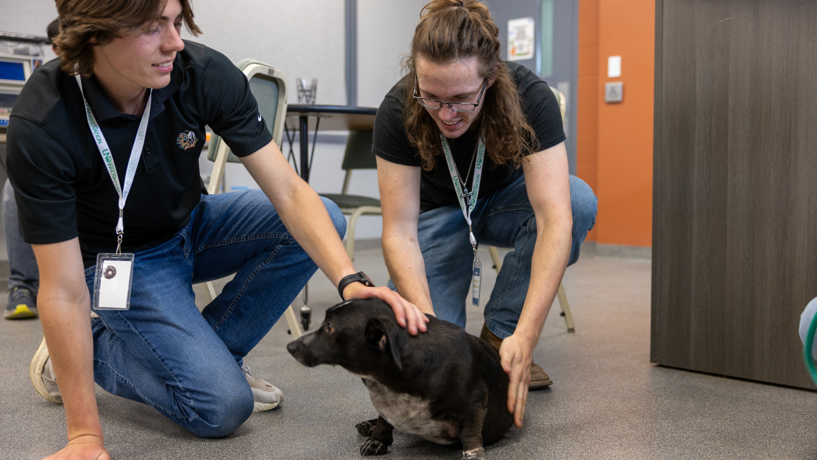 Circle of Friends Animal Shelter volunteers pet a dog as they prepare to help out at the shelter.