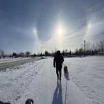 Featured image for where to take your pet during winters in Grand Forks!