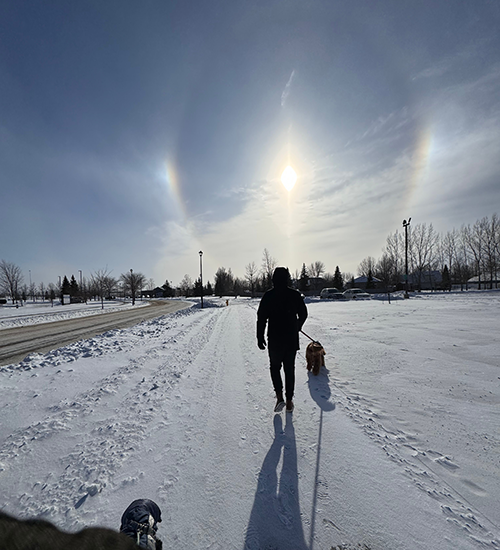 Featured image for where to take your pet during winters in Grand Forks!