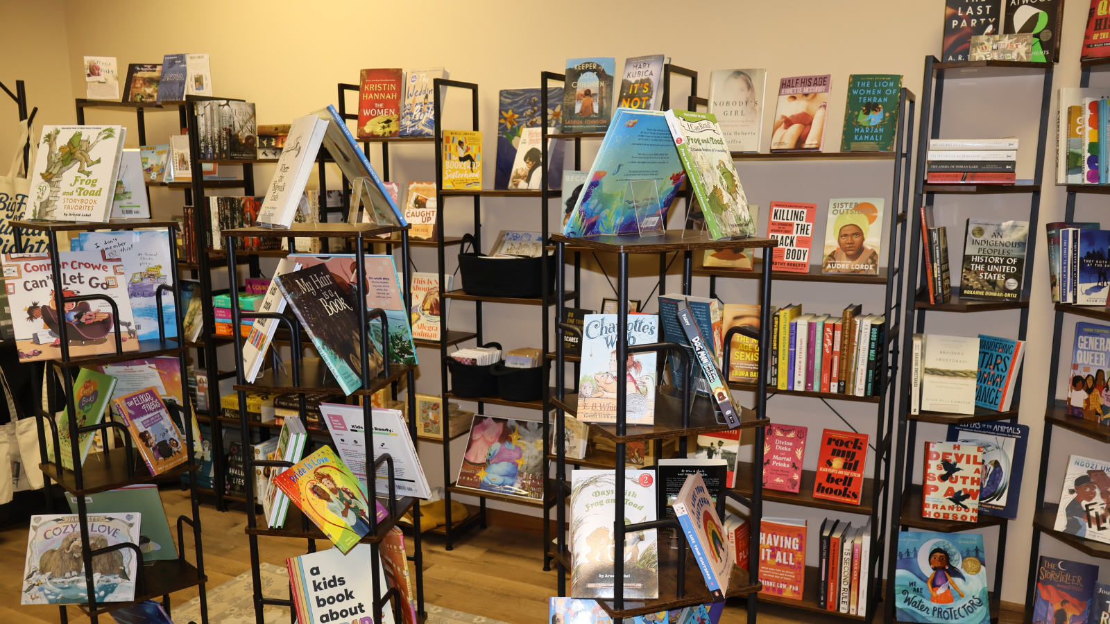 Inside the cozy little Gracie's Place Bookstore, with the skinny shelves stocked full with colorful books!