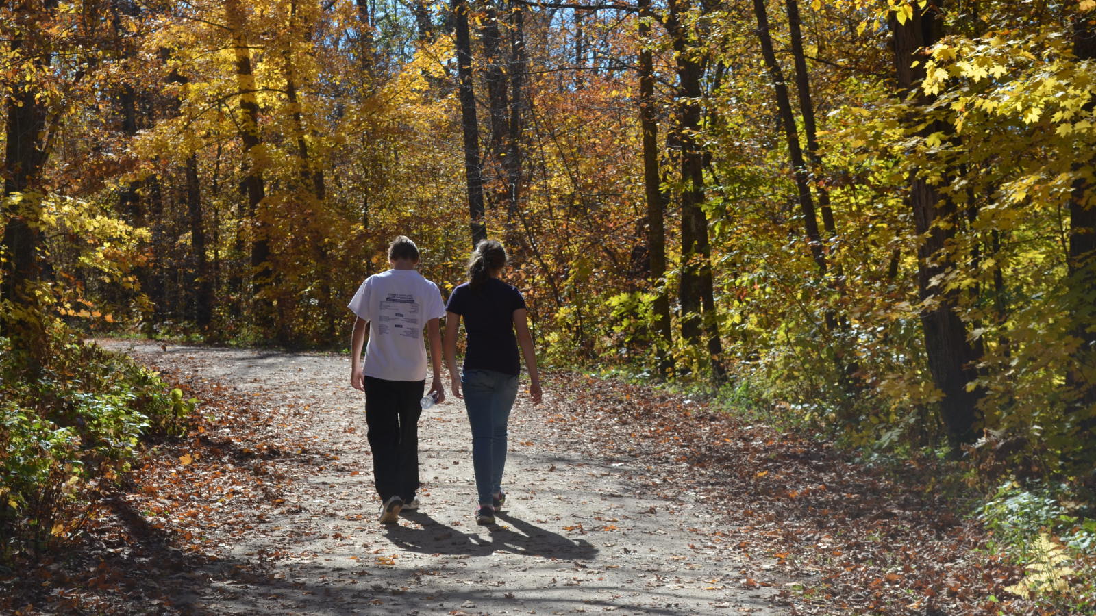 Fall on the Greenway Fall strolls as a couple takes a walk amongst the yellow leaves on the Greenway trails in the north end of town