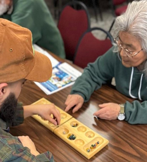 Featured image of a young man playing a board game with an elderly woman