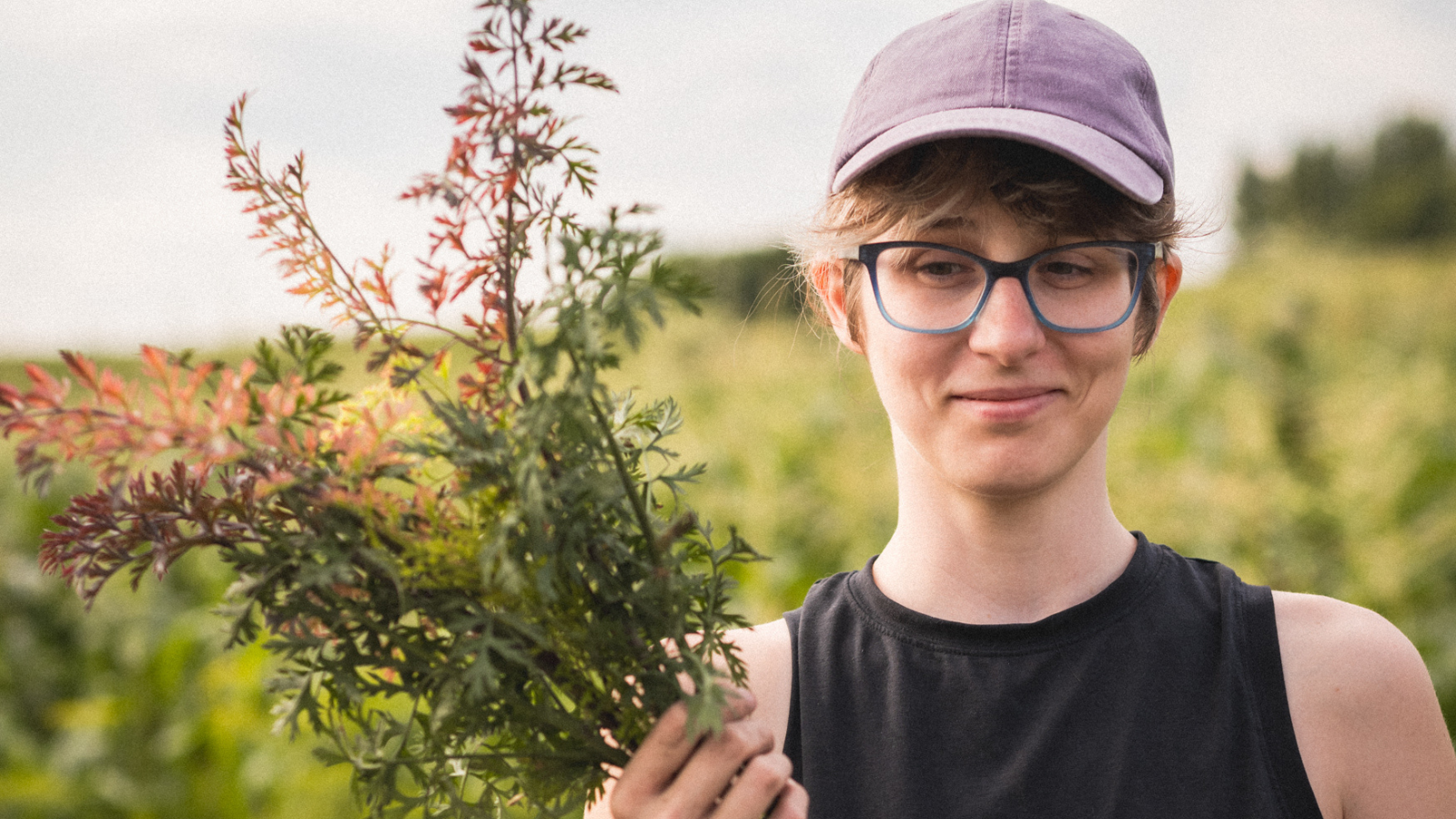 Author Shilo holds the top of some rainbow carrots after harvesting them and smirks at the camera.