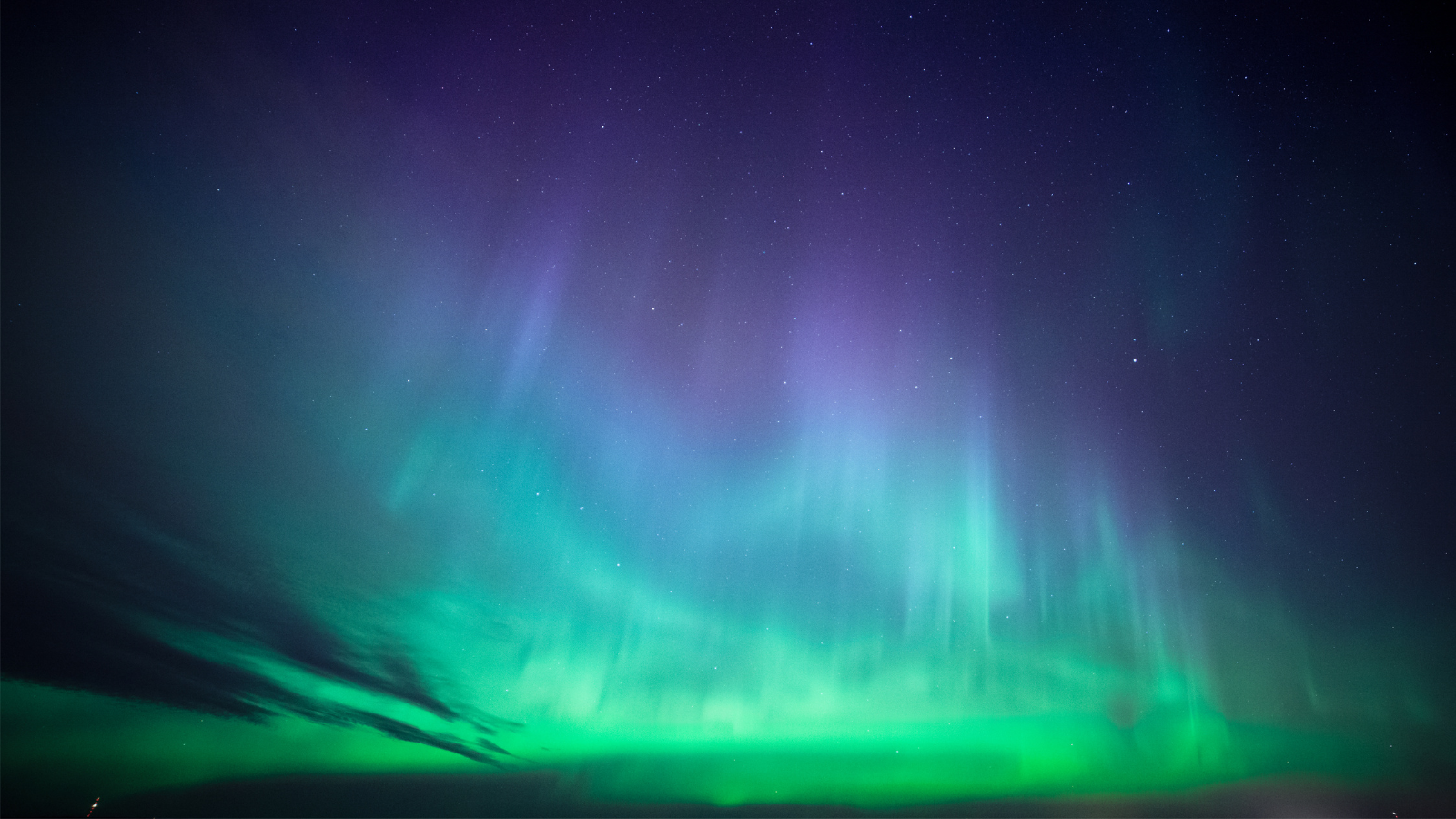 Purple, blue, and green ombre northern lights found in the Grand Forks Region last summer!